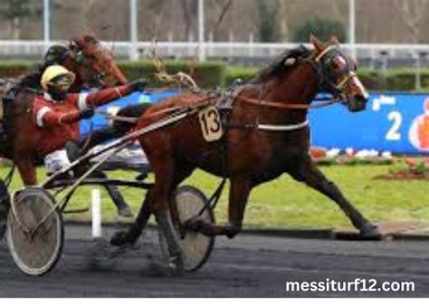 gouveturf turf|Turf Magique.